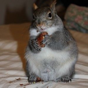 Meet your Posher, Celeste